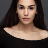صحراء شاش