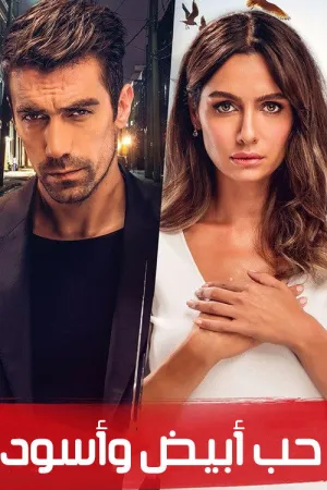مسلسل حب أبيض أسود