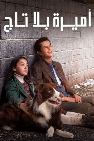 مسلسل أميرة بلا تاج